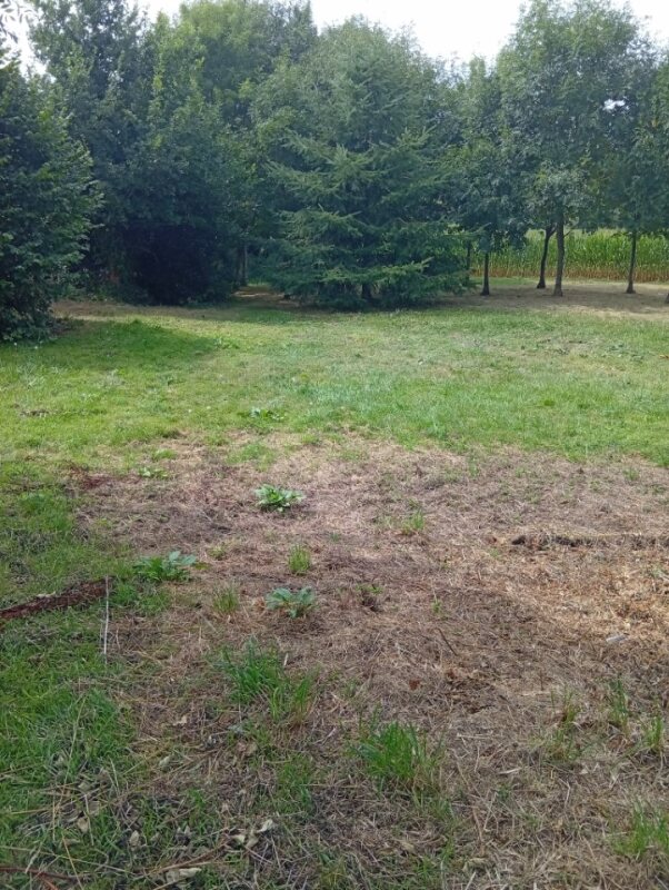 Aire camping-car  Saint-Connan (22480) - Photo 6